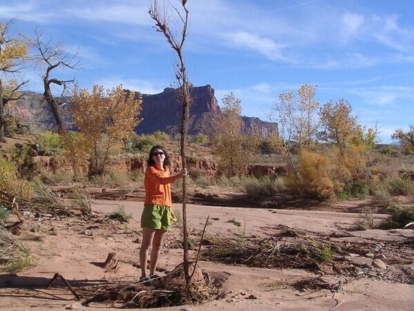 Photo of a scientist holding up dead vegetation next to a flooded stream outside Canyonlands NP